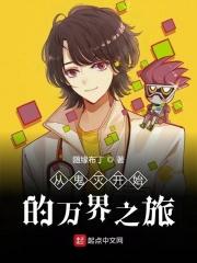 穿越从动漫开始的天道免费