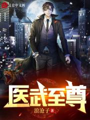 医武至尊王宇老婆有几个
