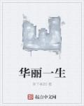 华丽人生 在线阅读