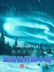 精灵宝可梦黑暗精灵