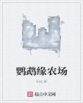 缘分鹦鹉的视频
