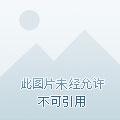 墨爷的夫人又轰动全球