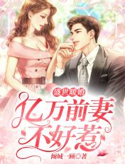 盛世婚宠前妻非你不可
