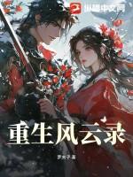 重生风云系统