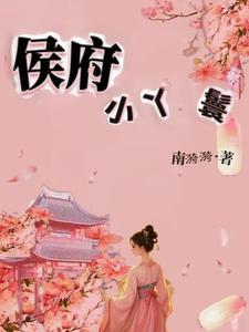 国公府的小丫鬟