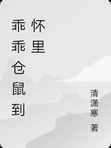 仓鼠随叫随到