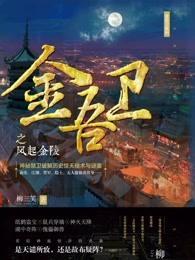 金吾卫之风起金陵记无花结局
