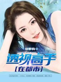 透视高手在都市100集