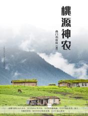桃源神农小飞